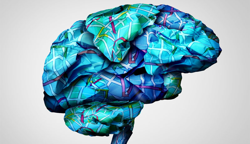 what is human brain mapping